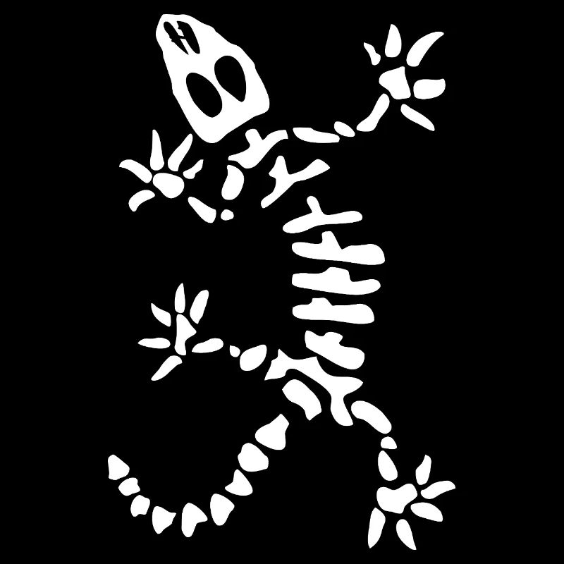 Squelette de gecko : lézard, reptile et os