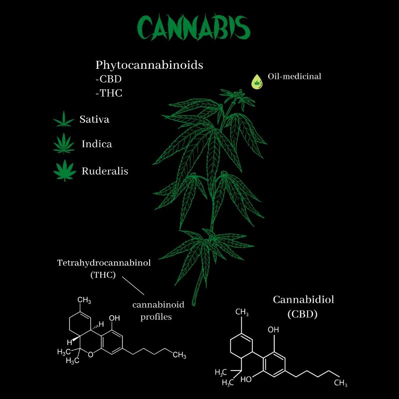 Formule chimique de cannabis