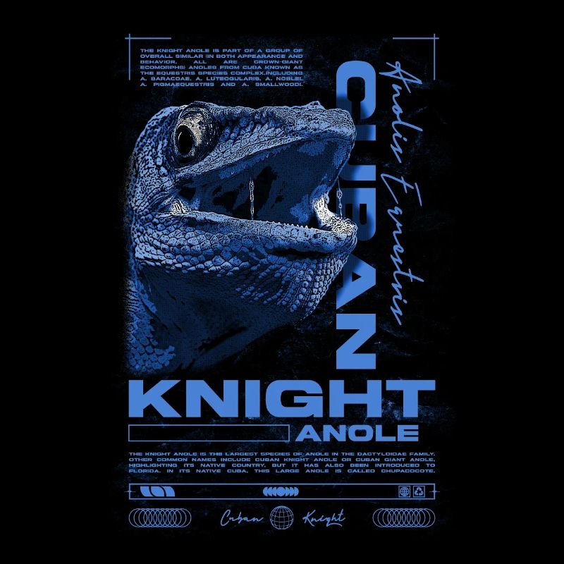Cuban Knight Anole Reptile Keeper Lizard