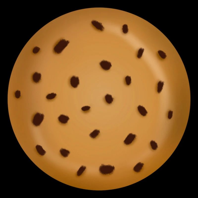 Keks mit Schokoladenstückchen cooles Geschenk