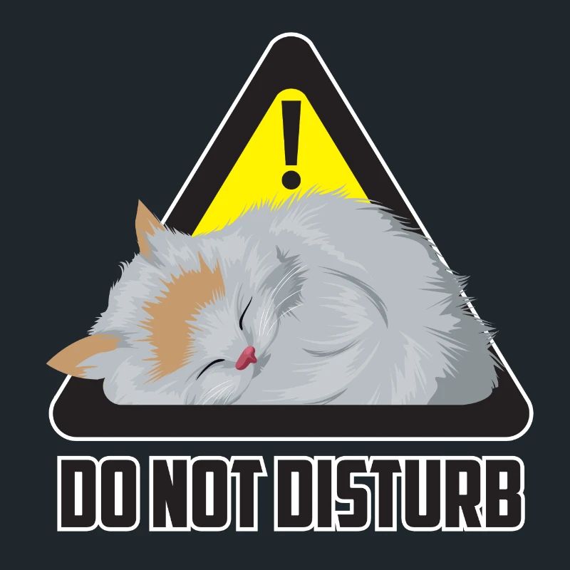 Ne dérangez pas le chat / chat