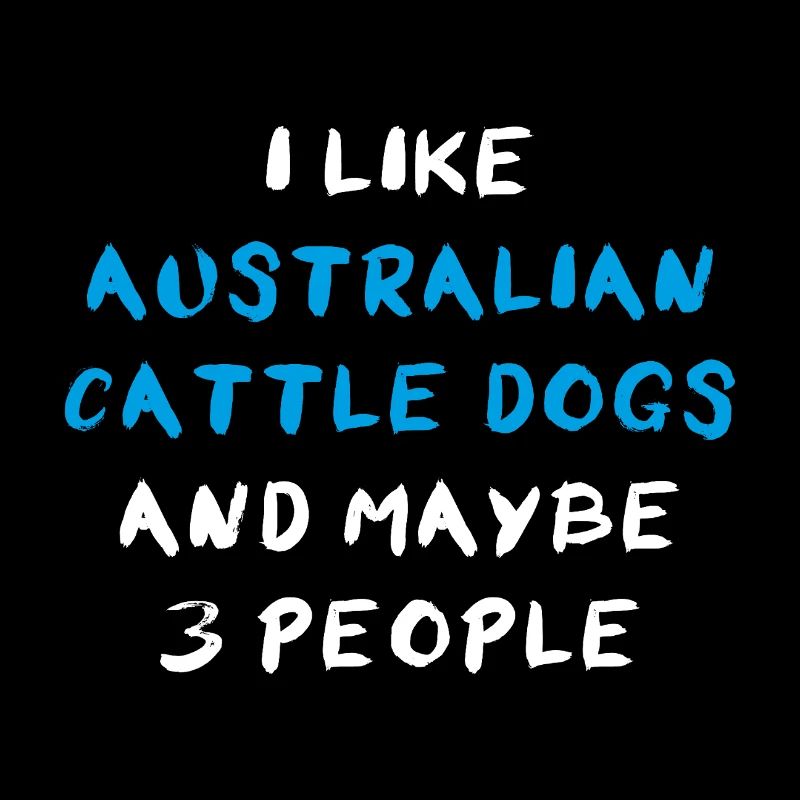 Bouvier australien chien