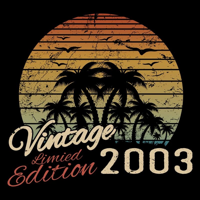 Jahrgang 2003 Geburtstagsgeschenk 2003 Retro 2003