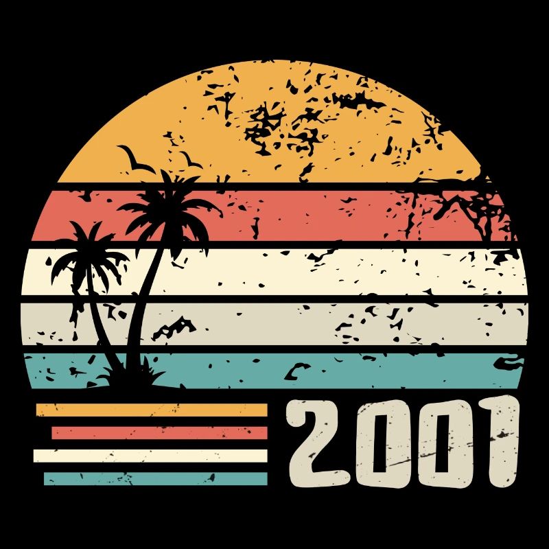 2001 Geburtstagsgeschenk - Made in 2001 Retro 2001