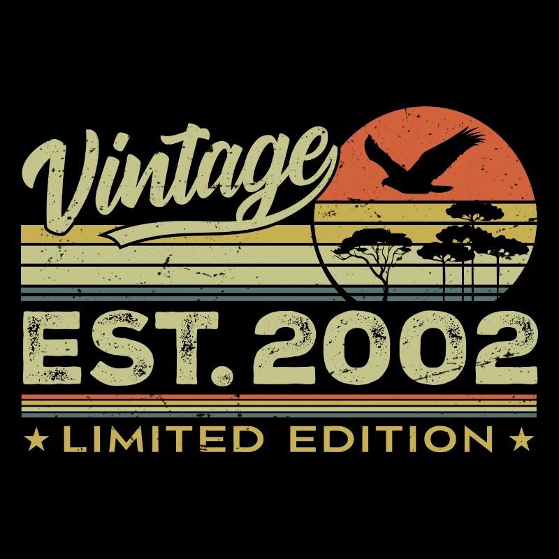 Vintage 2002 Awesome Since 2002 Gift 2002 Retro