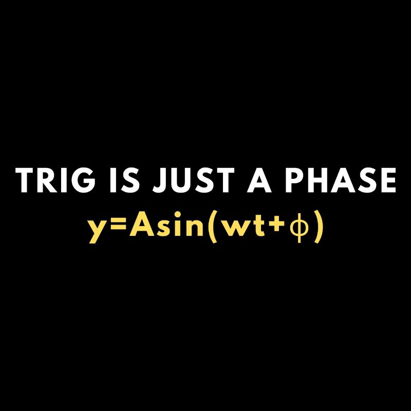 Funny Trigonometry Quote | Math Lovers Gifts