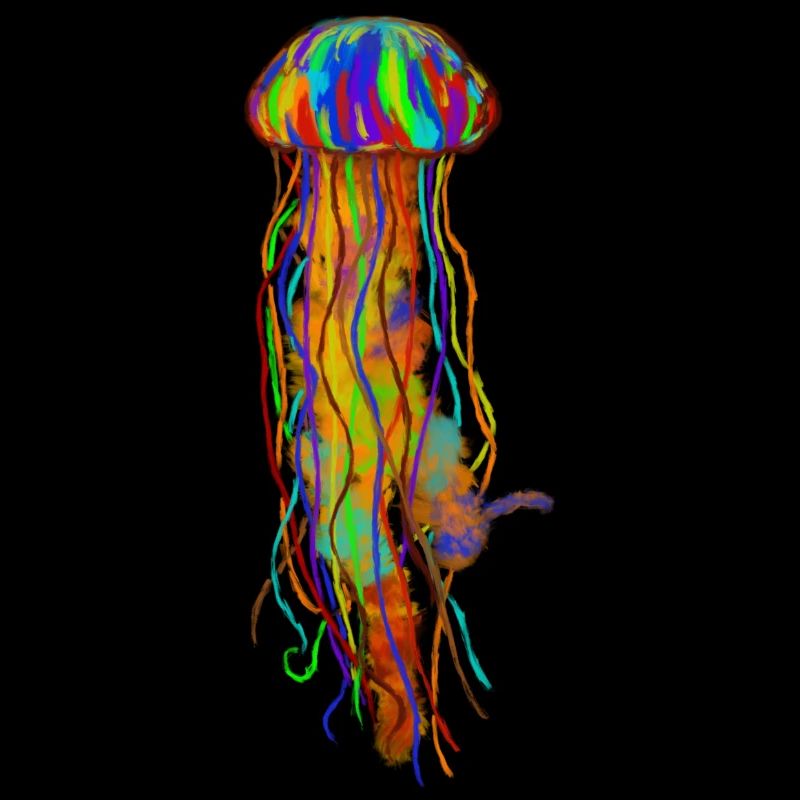 Jellyfish