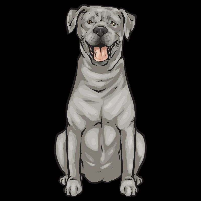 Silver Labrador Retriever Silver Lab
