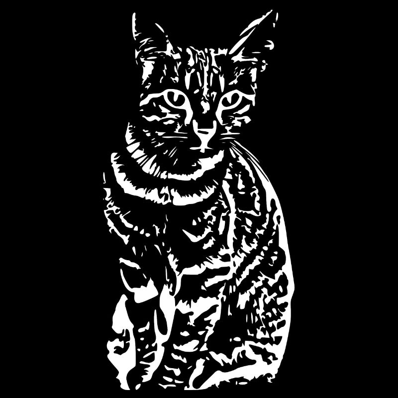 Katze weiß weiße Katze Kätzchen cute Geschenk