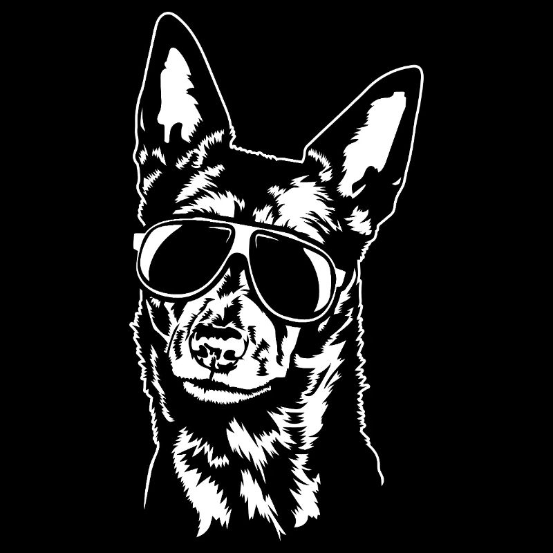 Australian Kelpie cool Hunde Portrait Wilsigns