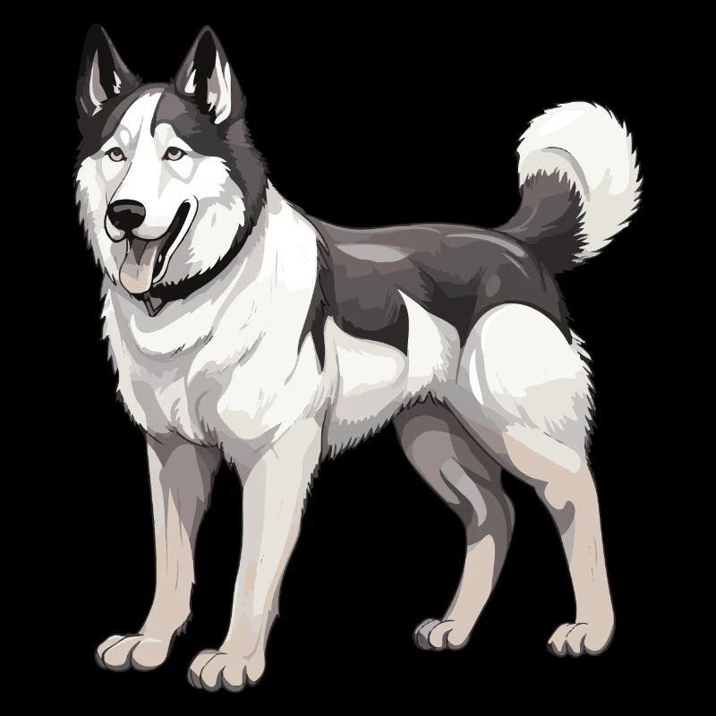 Chien husky