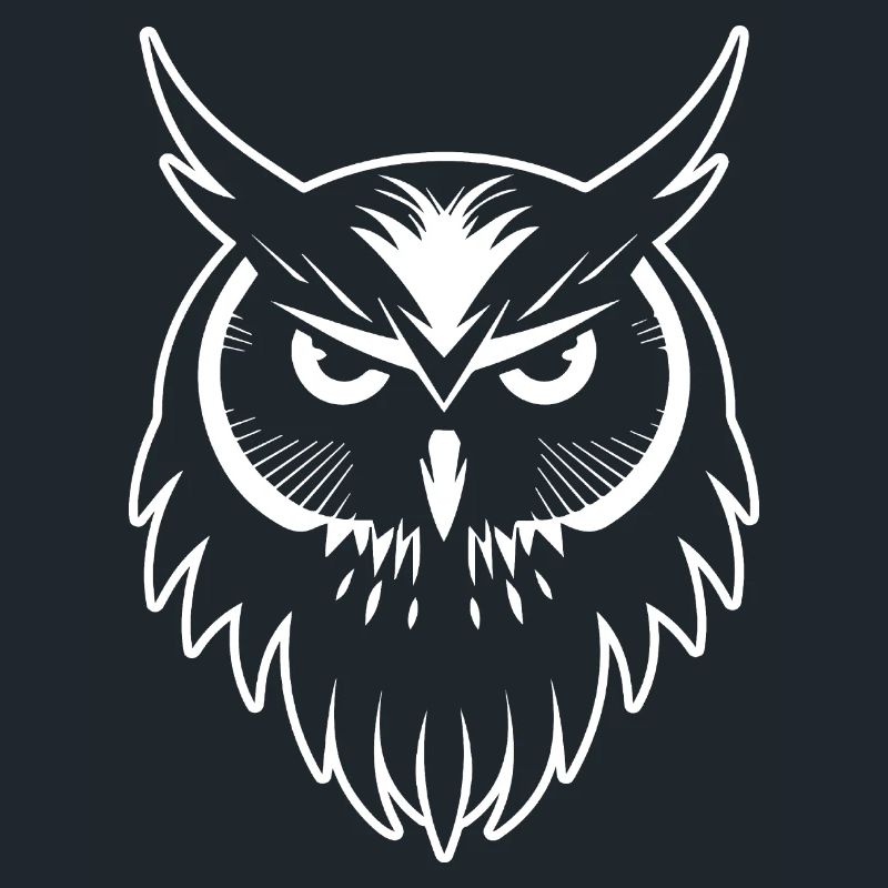 Eule Eulen Vogel Vögel