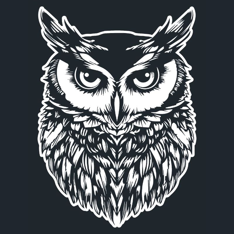 Eule Eulen Vogel Vögel