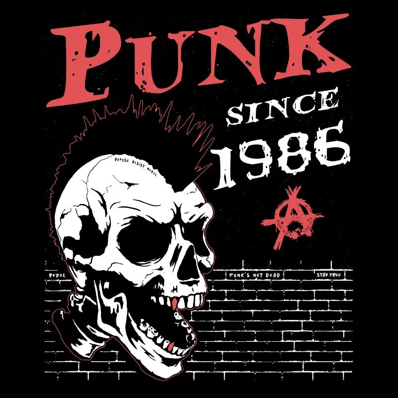 38 ans et toujours punk, Punks pas morts, Punk