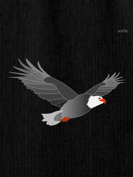Eagle