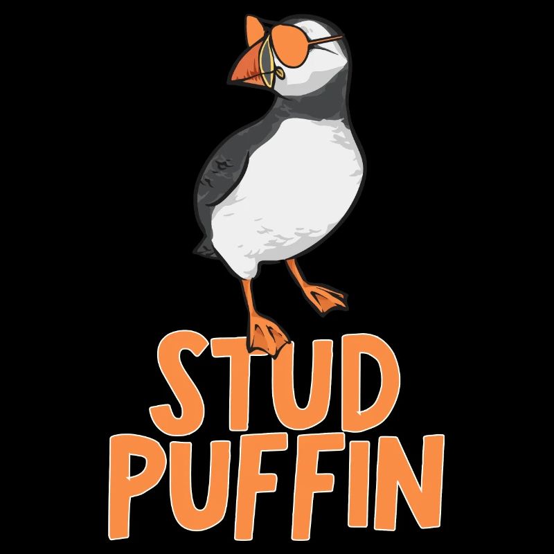 Papageientaucher Puffin Alkenvögel Lunde