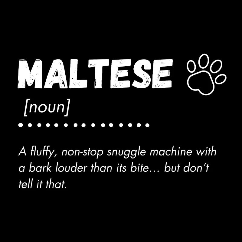 Maltese - a fluffy snuggle machine and loud barker