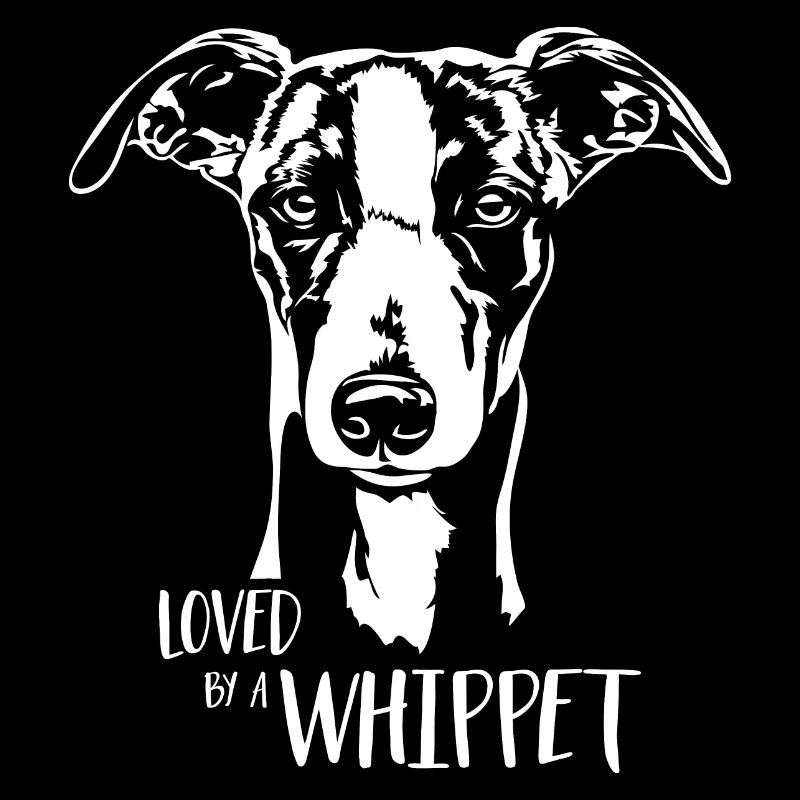 Aimé par un chien WHIPPET disant Greyhound Wilsigns