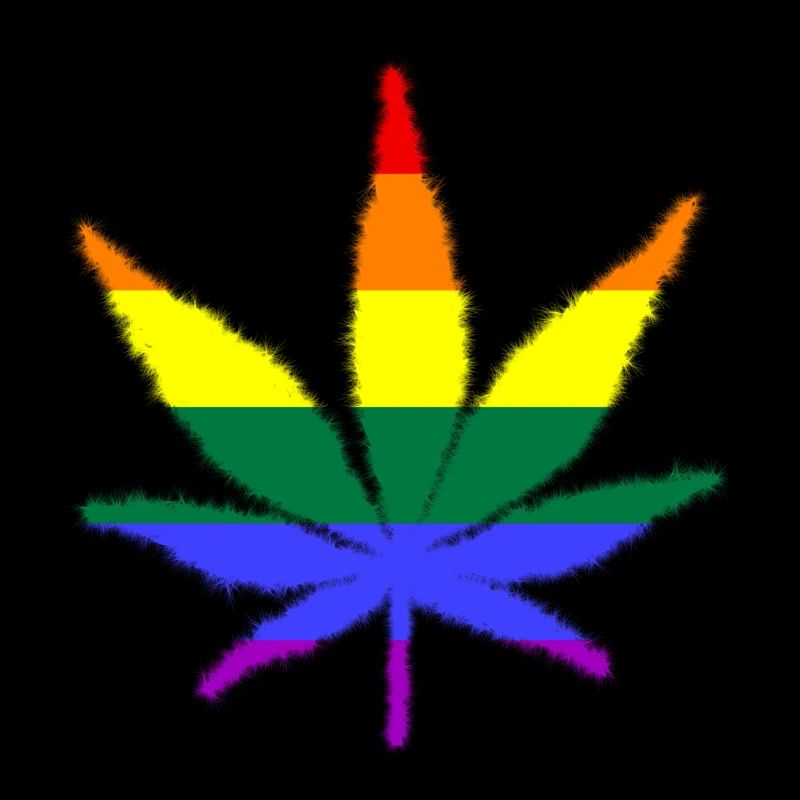 lgbt, love is love, csd, pride