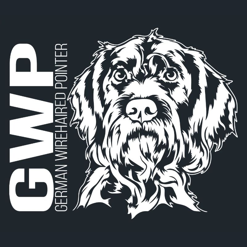 German Wirehaired Pointer Portrait Jagdhund Hunde