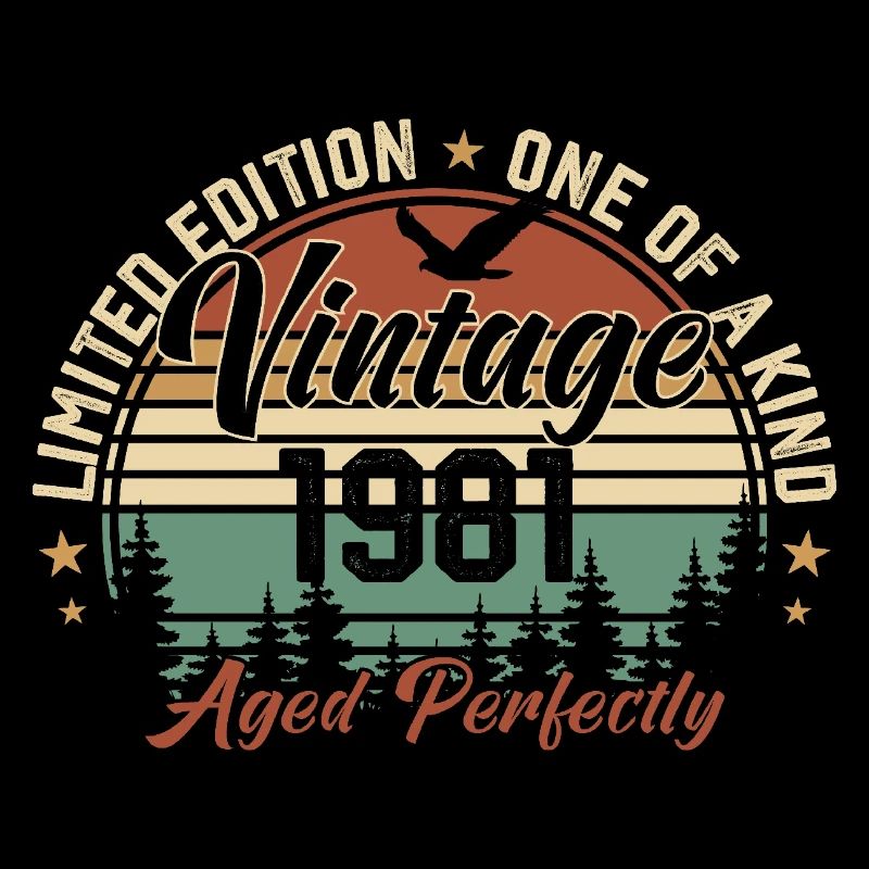 Jahrgang 1981 Retro 1981 Geburtstagsgeschenk 1981