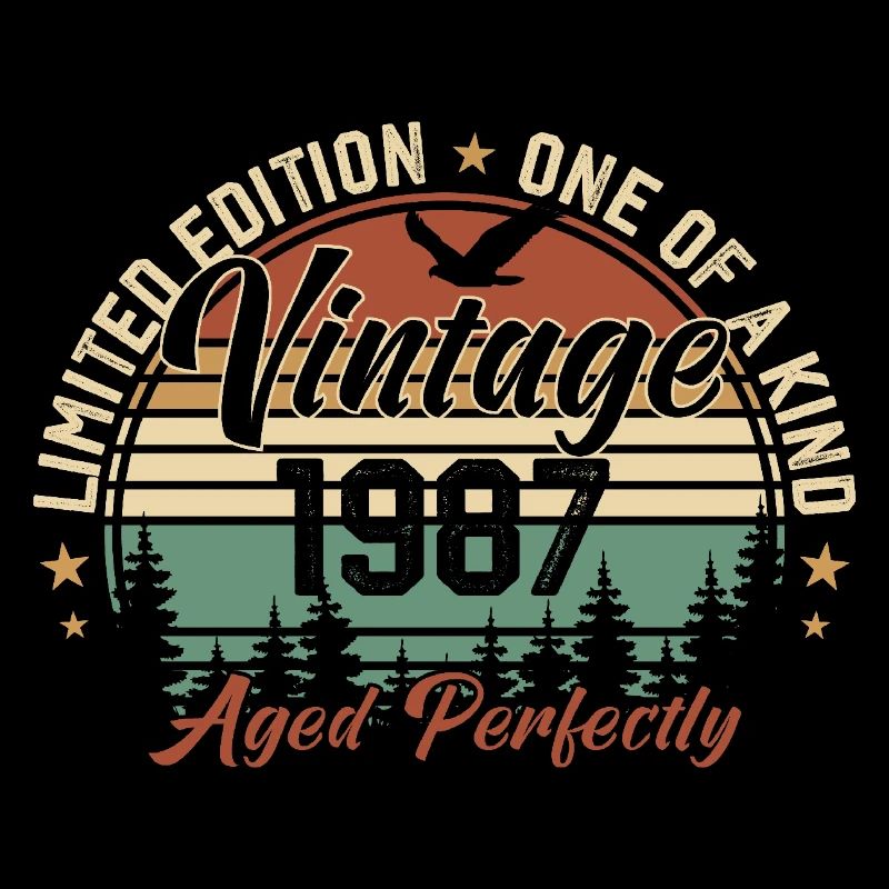 Jahrgang 1987 Retro 1987 Geburtstagsgeschenk 1987