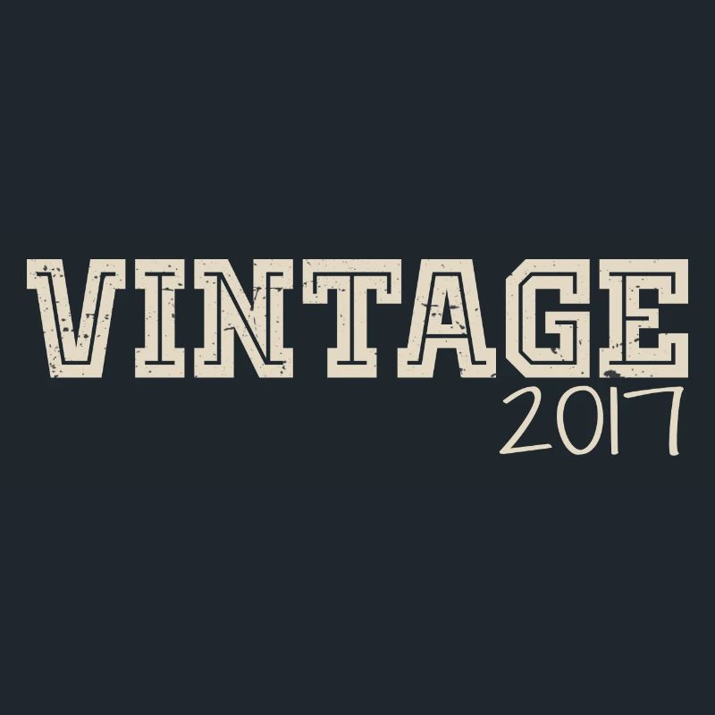 Vintage 2017 Original 2017 Retro 2017 Gift 2017