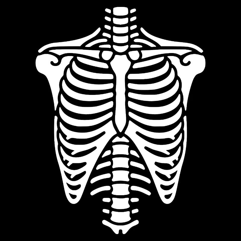Cage thoracique, squelette, thorax et côtes, os