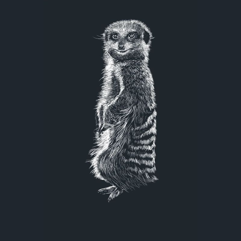 Erdmännchen