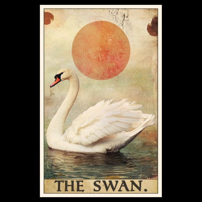 Swans Swan