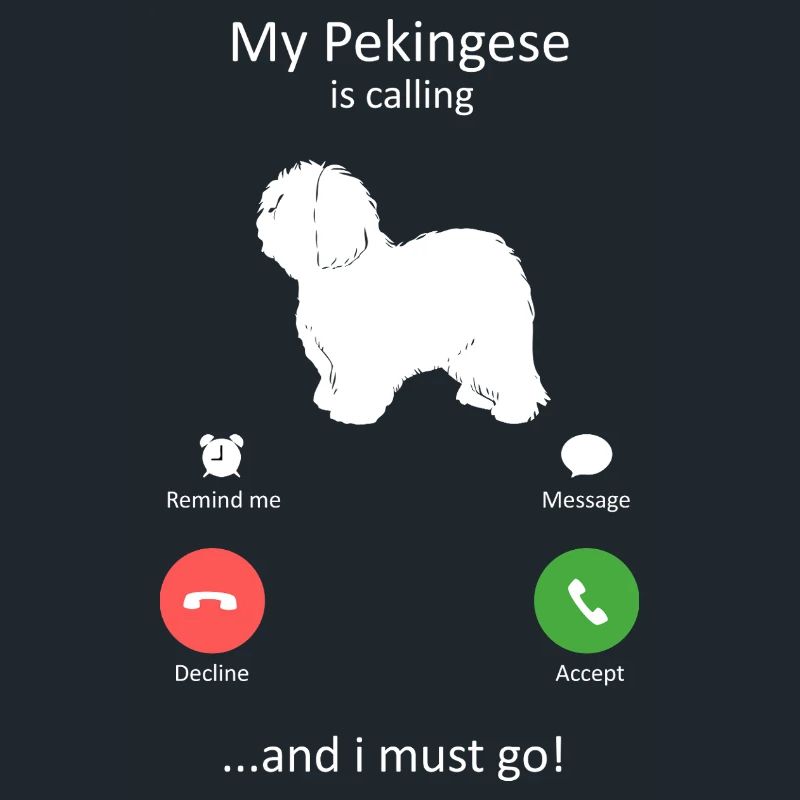 Pekingese ruft lustigen Hundebesitzer an