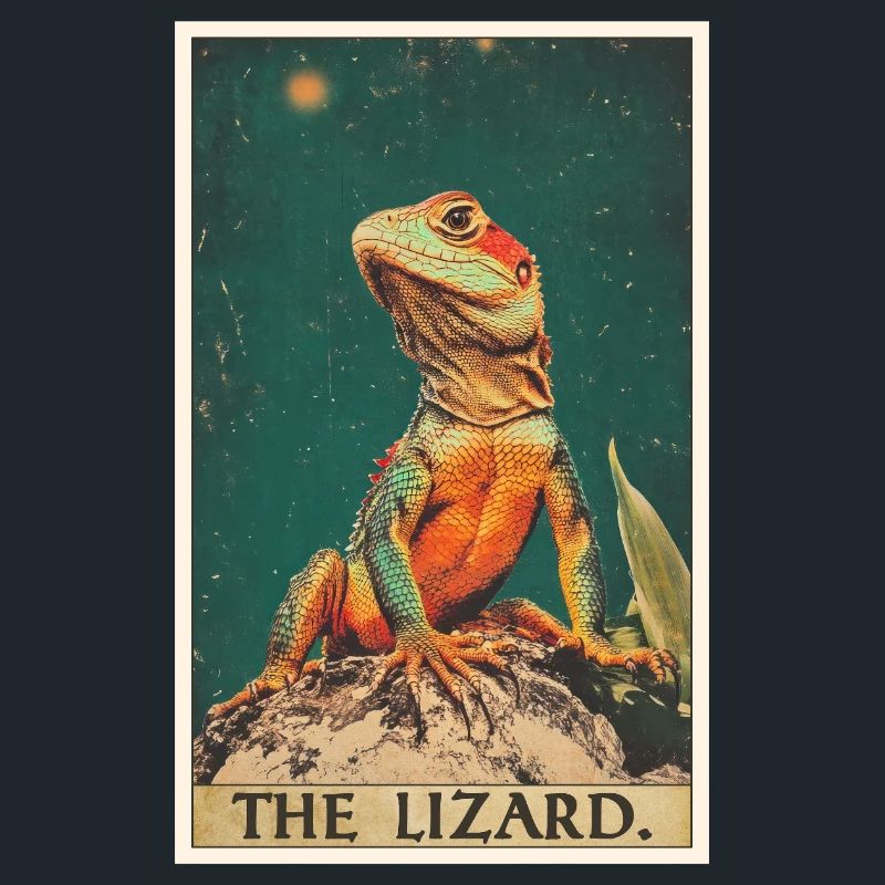 Lizards Lizard