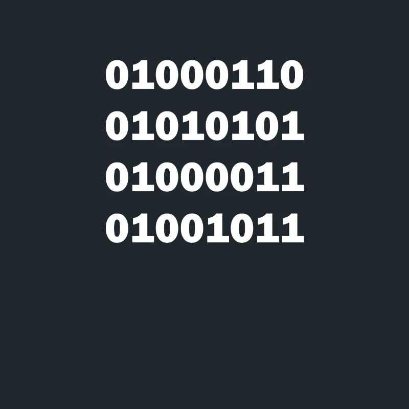 Baise de code binaire