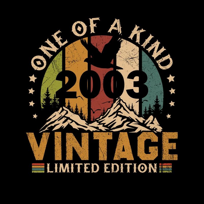 Vintage Retro 2003 Cadeau D'anniversaire