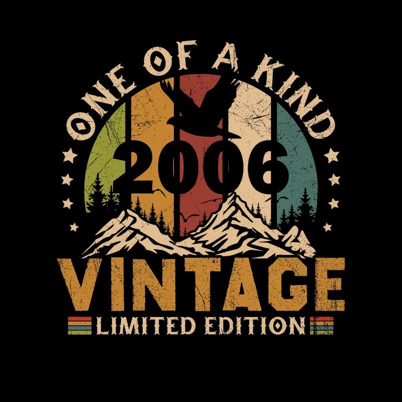 Vintage Retro 2006 Cadeau D’anniversaire
