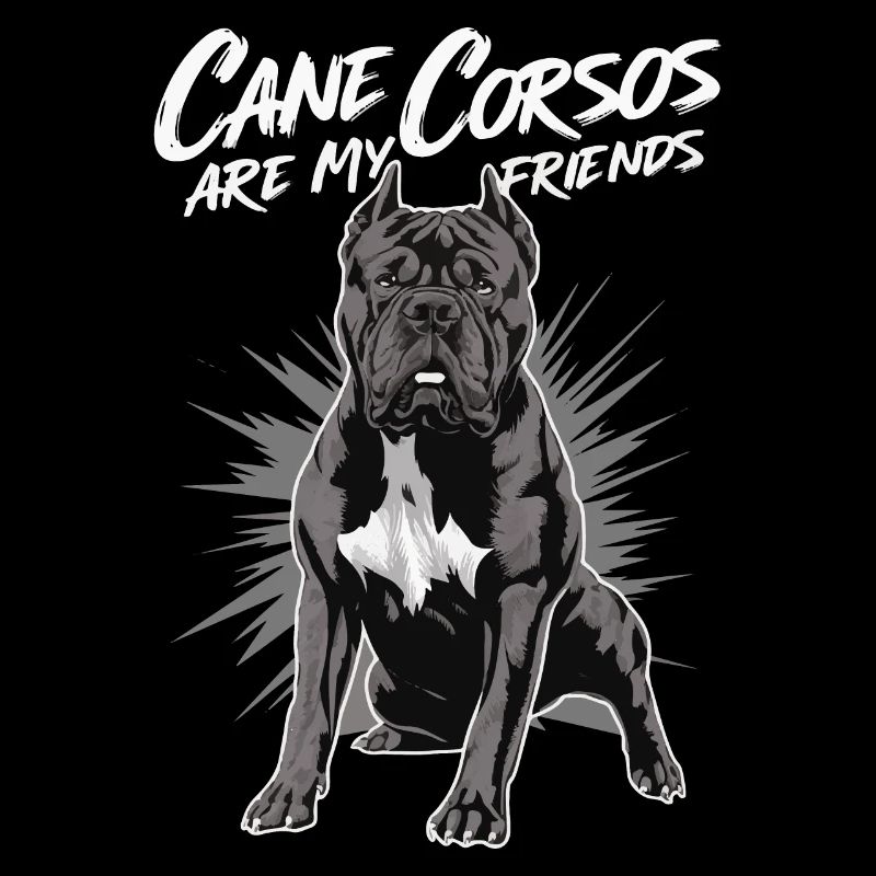 Cane Corso Hund