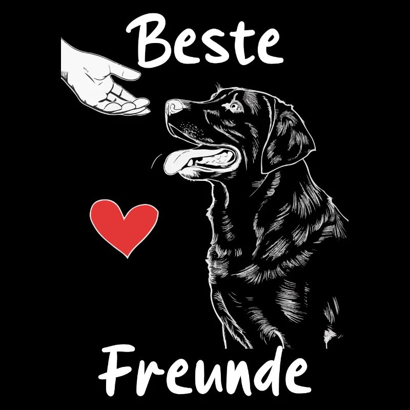 Labrador Hund Hunde