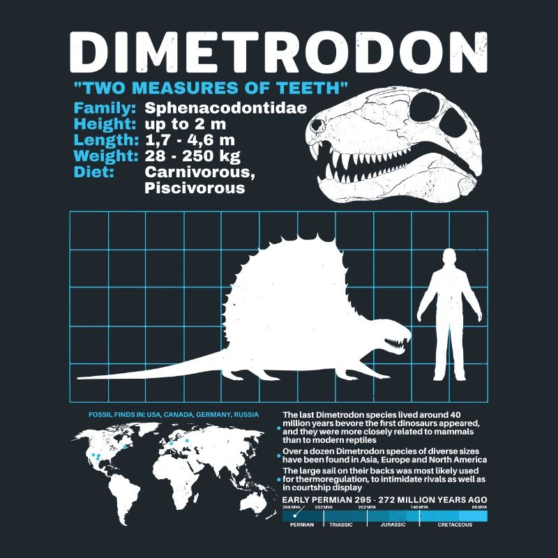 Fiche technique Dimetrodon