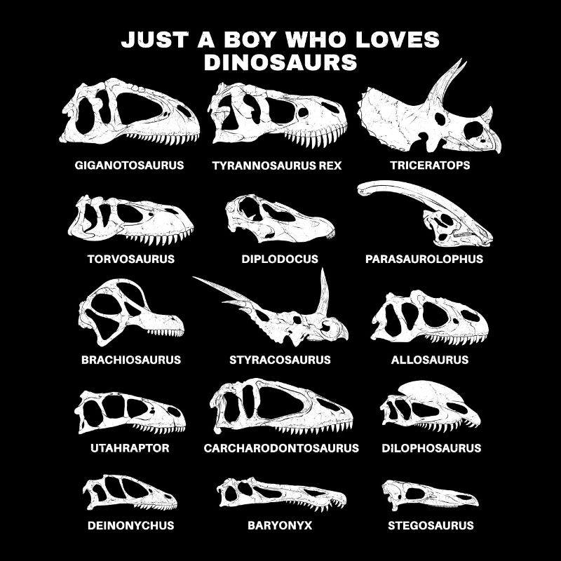 Just a boy who loves dinosaurs