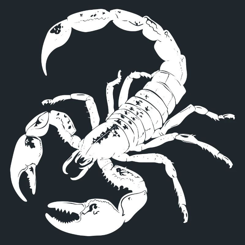 Scorpio, animal, gift