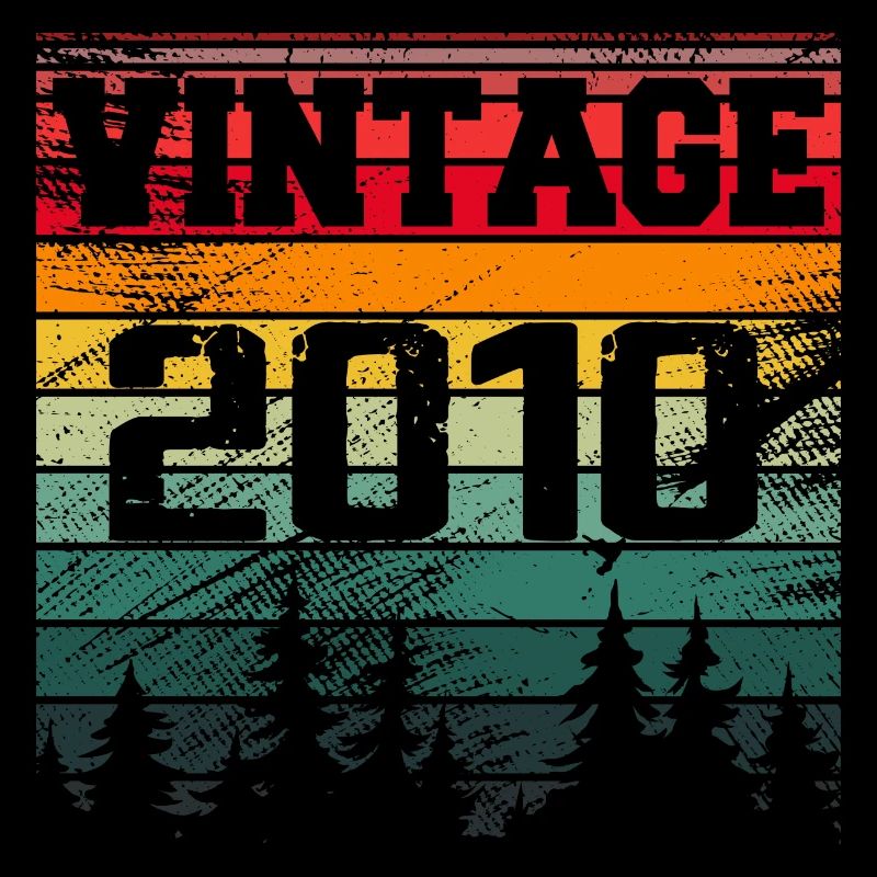 2010 Vintage Geburtstagsgeschenk 2010 Retro