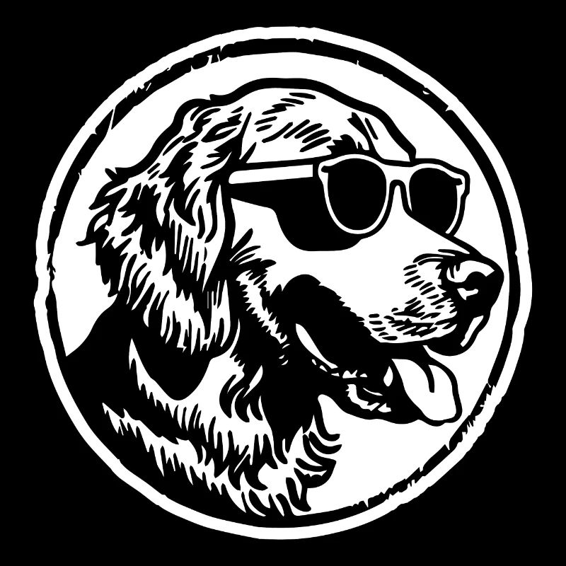 Golden Retriever Hund Hunde