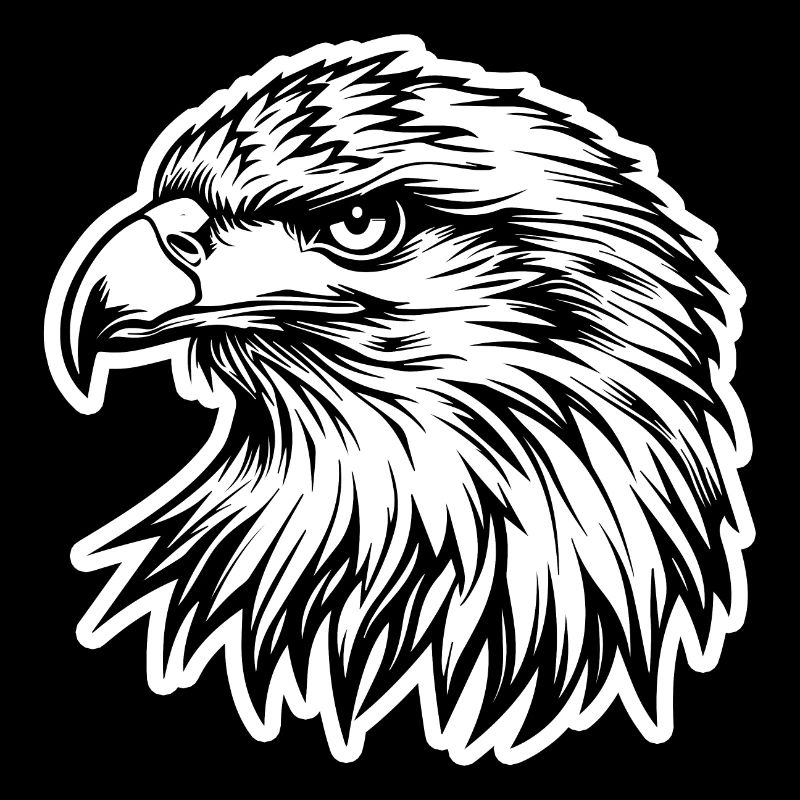 Aigle Tête d’aigle