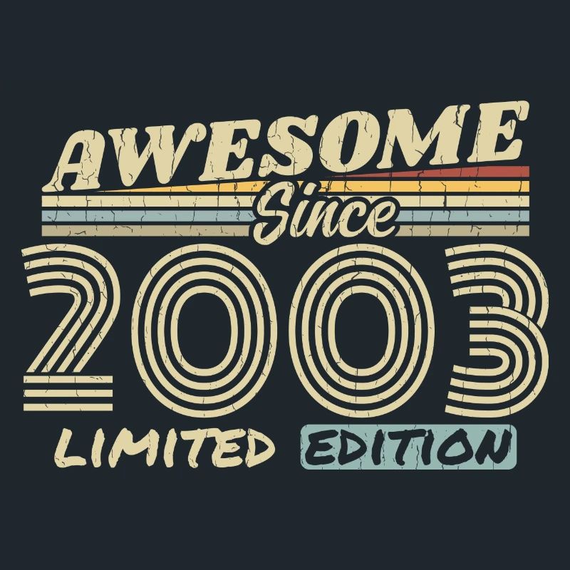 Vintage 2003 Retro - 2003 Geburtstagsgeschenk