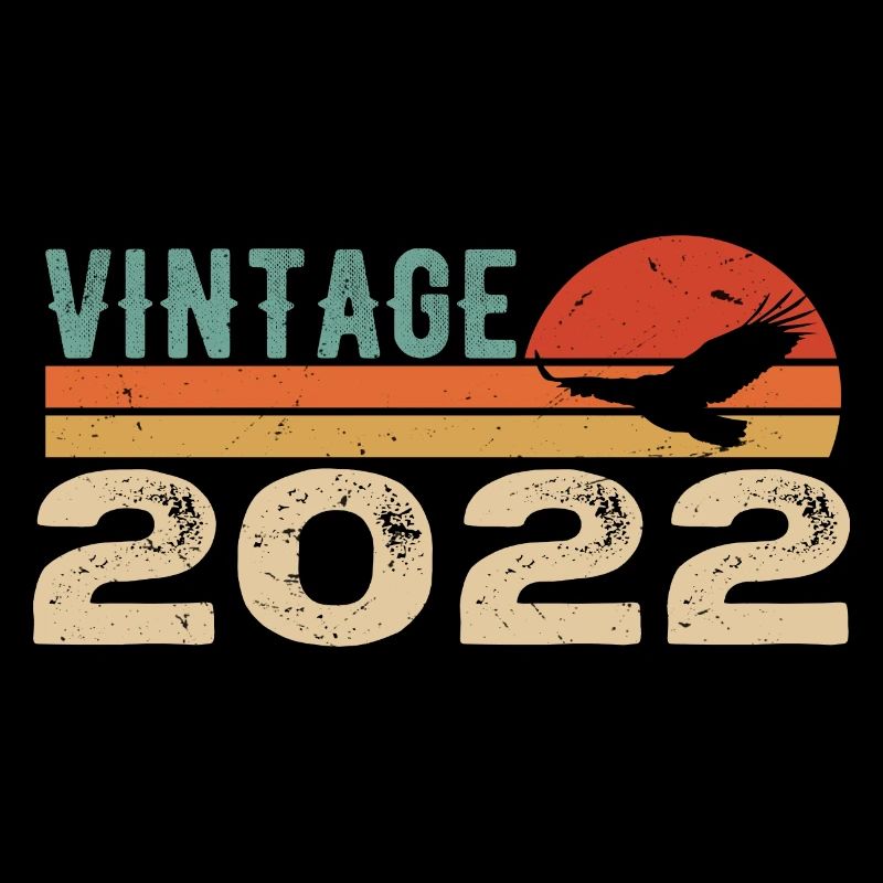 Vintage 2022 Retro 2022 Birthday Gift