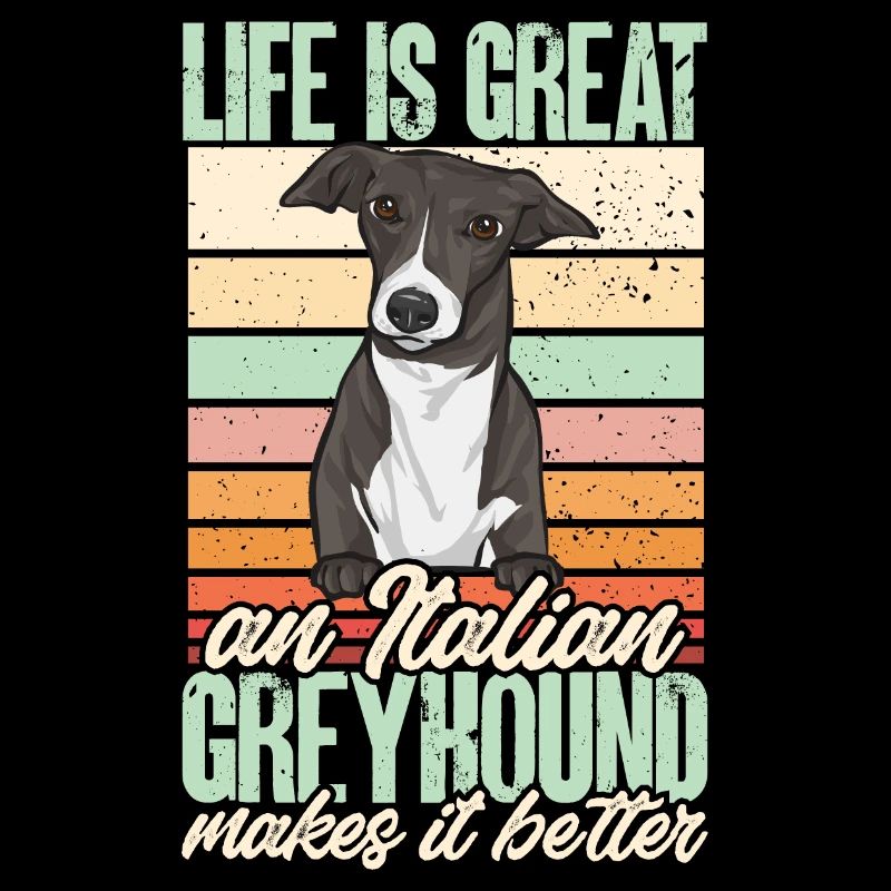 Lévrier italien Greyhound Chiens