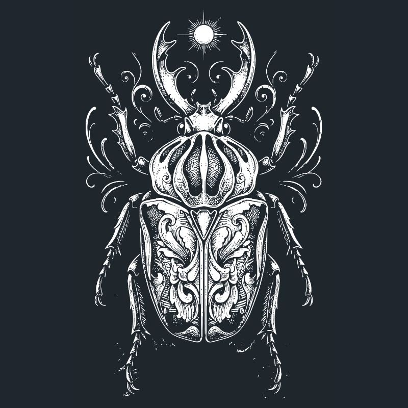 Conception anatomique des insectes