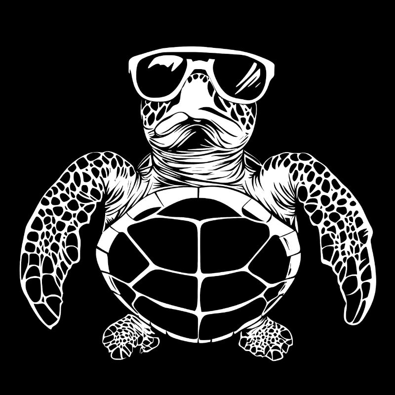 Lunettes de soleil tortue été