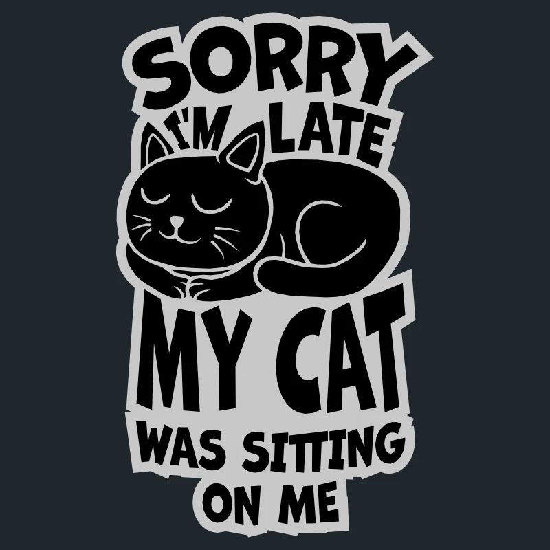 désolé chat était assis