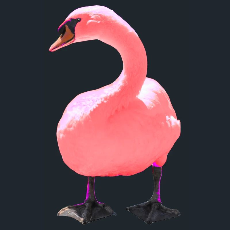 Swan